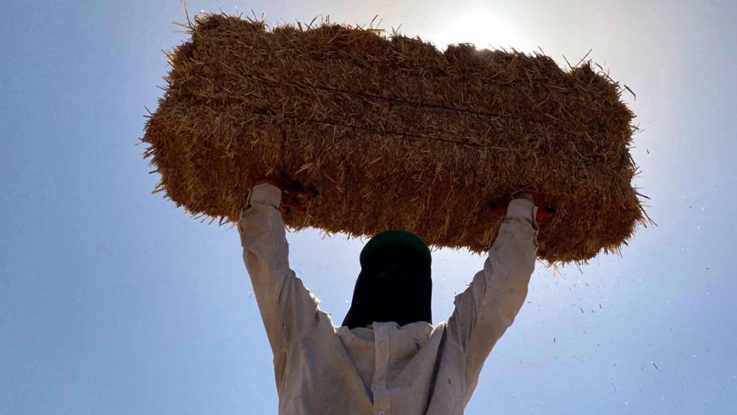 Kavurucu sıcakta 'balya' mesaisi 3